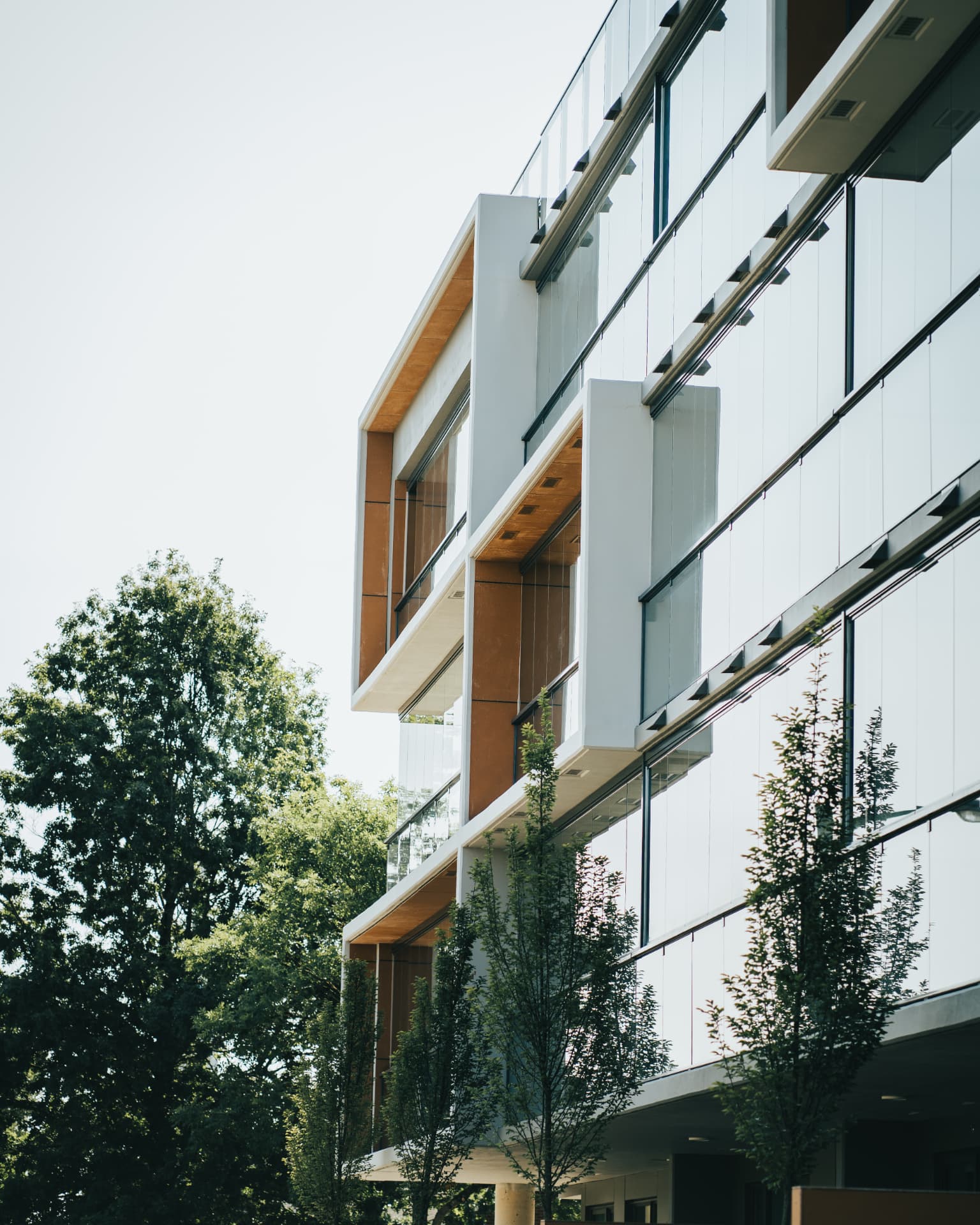 Detail of projecting balconies with wood soffits and glass enclosures